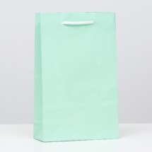 Пакет ламинированный, зелёный, 26,5 х 16,5 х 7 см
